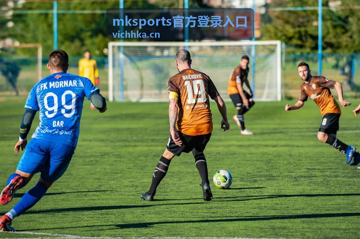 mksports官方登录入口 账号登录流程示意画面