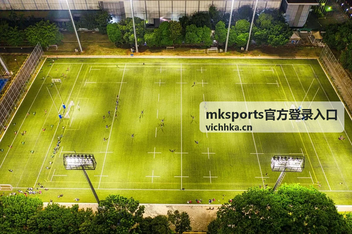 mksports官方登录入口登录前基础检查示意