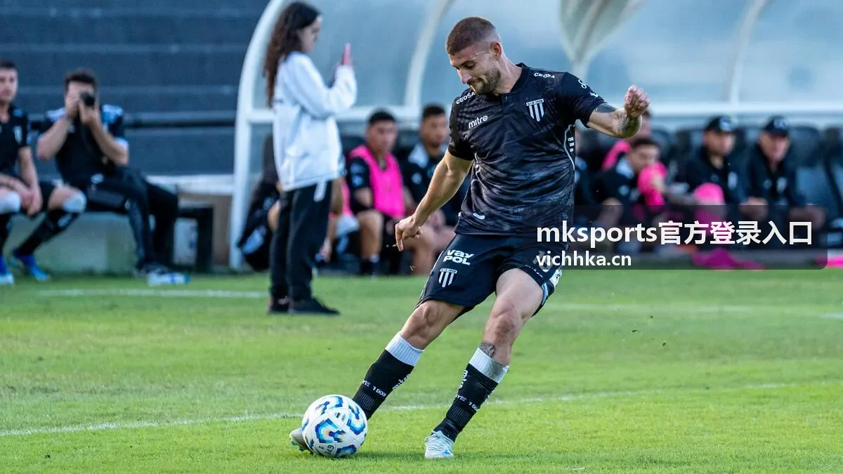 mksports官方登录入口验证码填写与超时处理示意